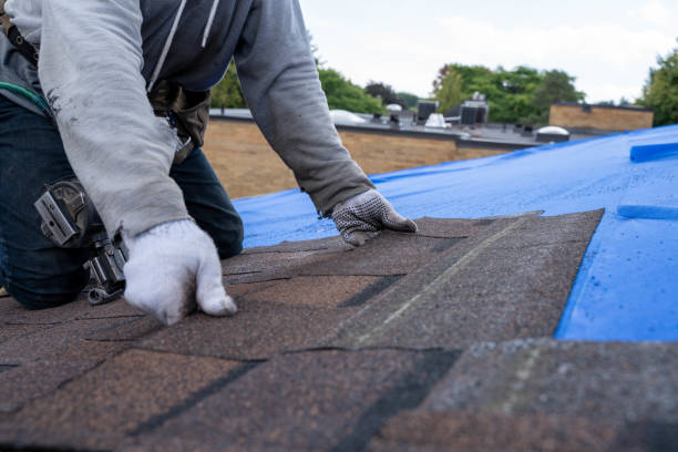 Best Local Roofing Companies  in Burt, MI