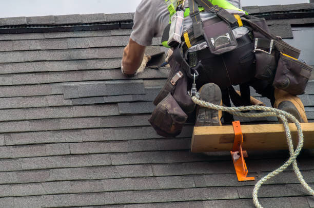 Best Metal Roofing Contractor  in Burt, MI
