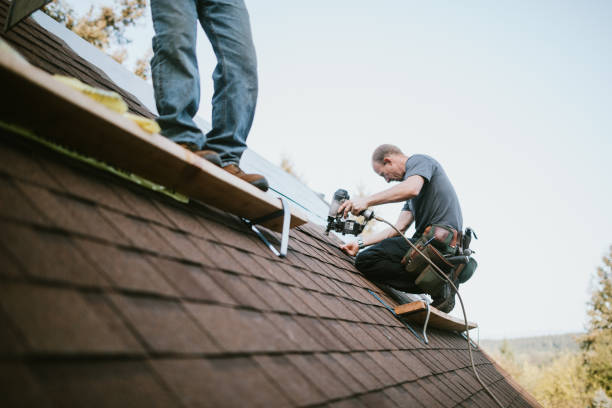 Best Roofing Contractors for Homes  in Burt, MI