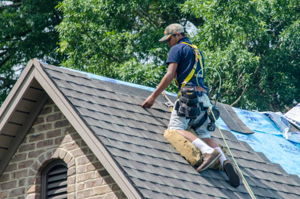 Best Residential Roofing Contractor  in Burt, MI